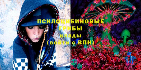 прущие грибы Абинск