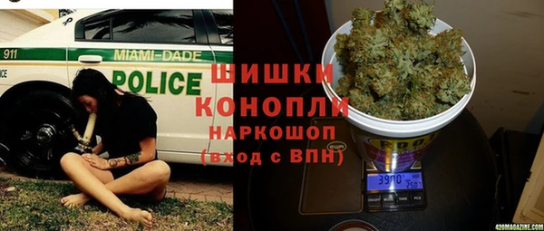 PSILOCYBIN Абдулино
