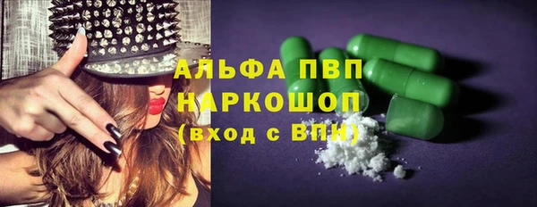 прущие грибы Абинск