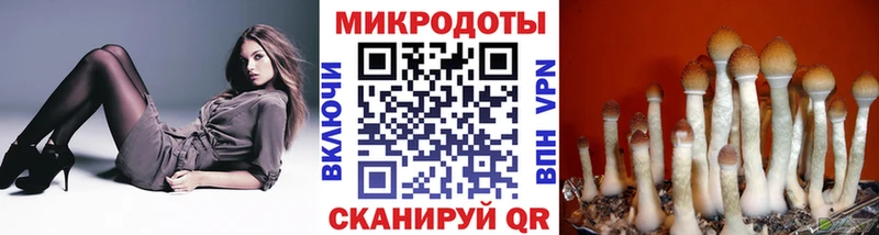 Галлюциногенные грибы прущие грибы  Алдан 